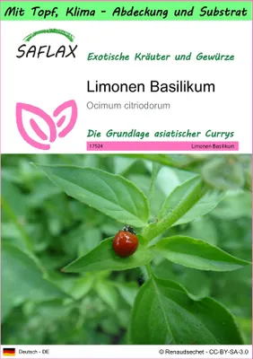 Produktbild von SAFLAX Garden to go - Limonen Basilikum - Ocimum citriodorum - 200 Samen - Mit Topf, Klima - Deckel und Anzuchtsubstrat