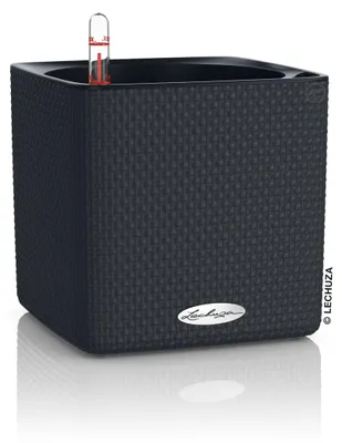 Zdjęcie produktu dla LECHUZA CUBE Color 16, Sadzarka w doniczce, Wolnostojący, Polipropylen (PP), Czarny, Wewnątrz/Na wolnym powietrzu, Czarny