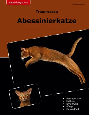 Produktbild von Traumrasse Abessinierkatze