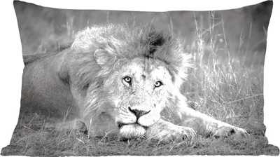 Produktbild von MuchoWow® Zierkissen Sofakissen Wohnzimmer Dekokissen 50x30 cm Löwe - Schwarz - Tiere - Wohnzimmerdekoration - Polster mit Photo