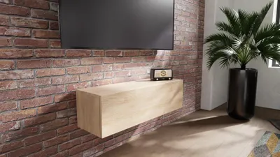 Obrázek produktu pro TV skříňka PLATAN ROOM TV lowboard šířka 105 cm dub Sonoma Závěsná nebo stojící matná deska