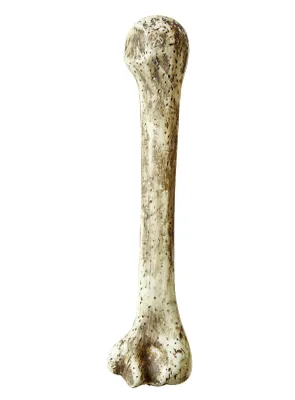 Produktbild von Deko Knochen Steinzeit Riesenknochen 39 cm