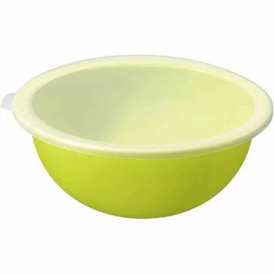 Obrázek produktu pro Rotho 1026205070, Mísa, Obdélníkový, 4,8 l, Limetka, Plast, 305 mm