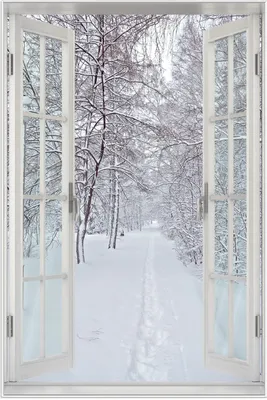 Produktbild von Wallario Wandbild mit Fenster-Illusion: Verschneiter Spazierweg, Größe: 61 x 91,5 cm, Poster mit weißem Aluminiumrahmen