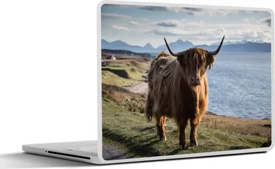 Produktbild von MuchoWow® Laptop Aufkleber Sticker Cover Schottisches Hochlandrind - Licht - Wasser 36.5x27.5 cm - Laptop-Sticker