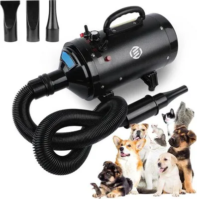 Immagine prodotto di Intimo per cani Welthund - Protezione dall'umidità - Ideale per tutti i cani - Silenter - Portatile - Regolabile in base alla taglia - Per cani di piccola taglia
