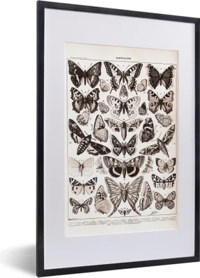 Produktbild von MuchoWow® Gerahmtes Poster Tiere - Schmetterling - Schwarz - Weiß 40x60 cm - Poster mit Schwarzem Bilderrahmen Wandposter Rahmen Foto Bilder - Poster in Rahmen