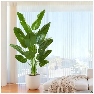 Image de Fleur d'oiseau de paradis artificielle, bananier artificiel pour la décoration d'intérieur - Grande plante d'intérieur artificielle avec 11 tiges (1 pot noir, 200 cm)