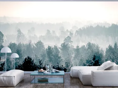 Produktbild von Vlies Fototapete Wald 400x280 cm Tapeten Wandtapete XXL Nebel Natur c-B-0347-a-a