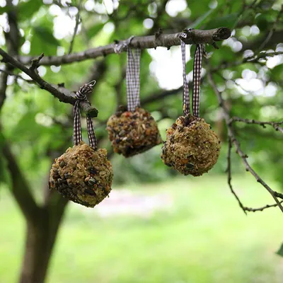Image de Mangeoire pomme de pin à fabriquer soi-même