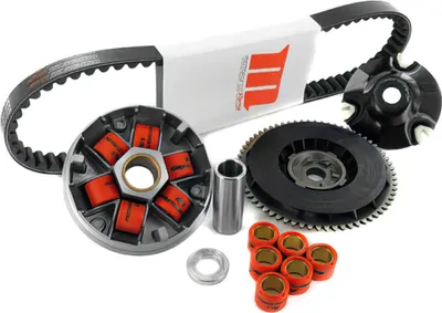 Image de Kit variateur et roulements MOTOFORCE Racing V.2 Piaggio Long Arm