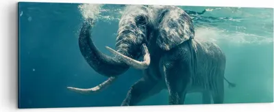 Produktbild von Bild auf Leinwand - Leinwandbild - Elefant Tier Wasser - 140x50cm - Wand Bild - Wanddeko - Leinwanddruck - Bilder - Kunstdruck - Wanddekoration - Leinwand bilder - Wandkunst - AB140x50-3944