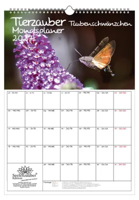 Produktbild von Tierzauber Taubenschwänzchen Planer DIN A3 Kalender für 2027 - Seelenzauber