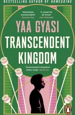 Produktbild von Transcendent Kingdom