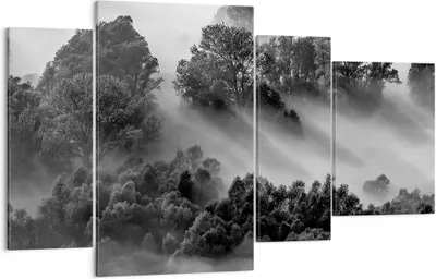 Produktbild von Bild auf Leinwand - Leinwandbild - 4 Teile - Schwarzweiß Bäume Nebel - 120x70cm - Wand Bild - Wanddeko - Wandbilder - Leinwanddruck - Bilder - Wanddekoration - Leinwand bilder - DL120x70-4510