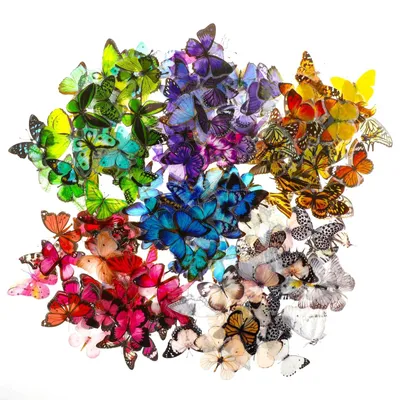 Immagine prodotto di Solidchoice - Set di 240 adesivi colorati a forma di farfalla