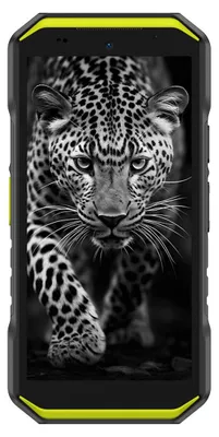 Produktbild von Ulefone Armor X32 6+128Gb 4G Vivid Green