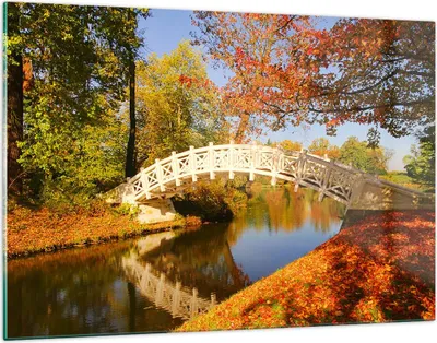 Produktbild von Bilder auf glas - Stream Fußgängerbrücke Herbst - 120x80cm - Glasbilder - Wandbilder - Kunstdruck - zum Aufhängen bereit - Wanddekoration aus Glas - Glas Bilder - Wandbild auf Glas - GAA120x80-2654