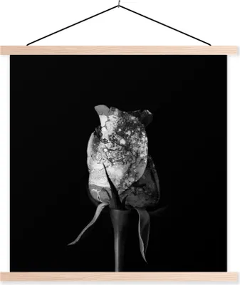 Produktbild von MuchoWow® Textilposter Rosen - Blumen - Farbe - Schwarz - Weiß 40x40 cm mit holzfarbenen Rahmen - Posterleiste