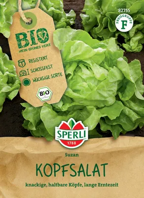 Artikelbild 2 von 'Bio-Kopfsalat Suzan' aus der Kategorie Salatsamen