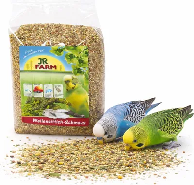 Zdjęcie produktu dla Jr Farm  - pokarm dedykowany dla papużek falistych 1kg