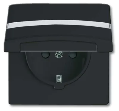 Immagine prodotto di Busch-Jaeger Inserto presa Schuko IP44 antracite 20 EUGKBN-35-101