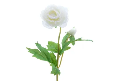 Immagine prodotto di Ranuncolo artificiale con stelo da 57 cm in poliestere - Bianco