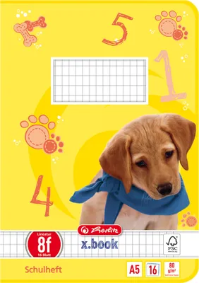 Zdjęcie produktu dla zeszyt ćwiczeń herlitz x.book, DIN A5, linijka rozmiar 8f / chropowata