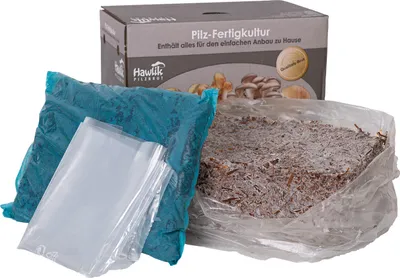Produktbild von Pilzzuchtset Steinchampignonkultur - klein | Pilzzucht von Hawlik Pilzbrut