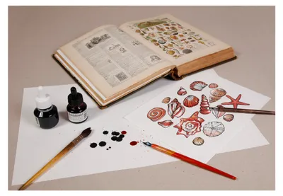 Produktbild von Clairefontaine Weißes Löschpapier A4, 100 Blatt 250g 975400C