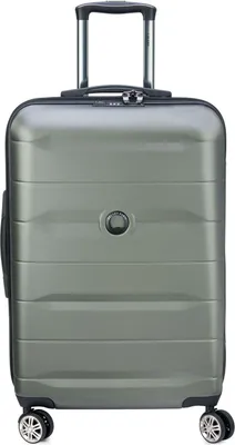 Immagine prodotto di DELSEY PARIS carrello Comete + 4 Double Rolls Trolley 67 Iguana marrone