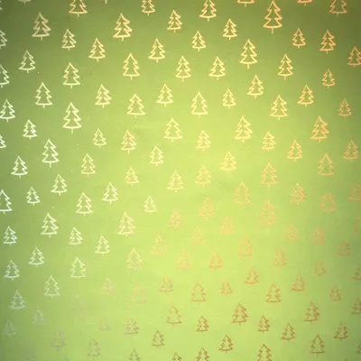 Produktbild von Geschenkpapier Tannenbäume Muster 70cm x 2m Rolle Grün / Gold