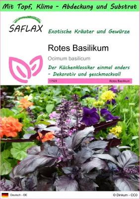 Produktbild von SAFLAX Garden to go - Rotes Basilikum - Ocimum basilicum - 200 Samen - Mit Topf, Klima - Deckel und Anzuchtsubstrat