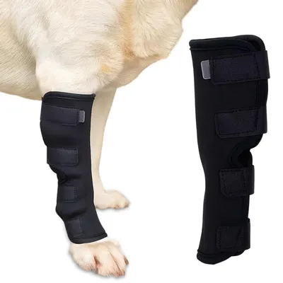 Productafbeelding van Kniesteun voor honden - Gewrichtssteun achterpoten - Zwart