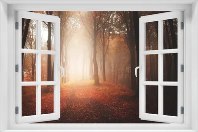 Produktbild von Wallario Poster mit Fenster-Illusion: Herbstwald - Weg zu einer Lichtung im Wald, Größe: 61 x 91,5 cm (Maxiposter)