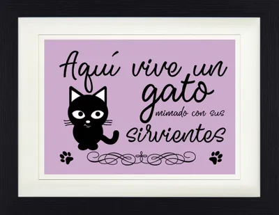 Obrázok produktu pre Mačky v rámčeku s elegantným paspartou | Obrazy na stenu | V rámčeku - Aquà Vive Un Gato Mimado Con Sus Sirvientes (30 x 40 cm)