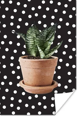 Produktbild von MuchoWow® Poster Pflanze - Pflanzgefäß - Dots 40x60 cm - Plakate für die Wand - Poster Babyzimmer