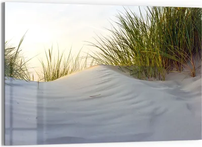 Produktbild von DEQORI Glasbild Echtglas 90x60 cm 'Düne mit Dünengras' Wandbild Bild modern Deko