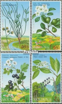 Produktbild von Briefmarken Moldawien 2004 Mi 501-504 (kompl.Ausg.) postfrisch Das Rote Kreuz