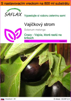 Obrázok produktu pre SAFLAX Garden in the bag - vajíčkový strom - Solanum melonga - 20 Semená - S pestovateľským substrátom v praktickom samostaviteľnom vrecku