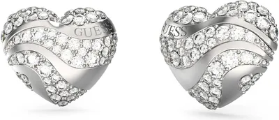 Immagine prodotto di Orecchini Guess Silver Collection - donna