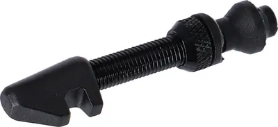 Obrázek produktu pro Ventil Tubeless Cyl Nut  Dt Swiss