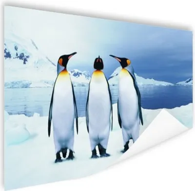Produktbild von MuchoWow® Poster Drei Pinguine Porträt 180x120 cm - Fotoplakat