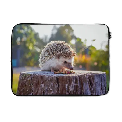 Produktbild von MuchoWow® Laptop Hülle 14 ZollEssender Igel Laptoptasche - Laptoptasche - Stoßsicher - Schutzhaube