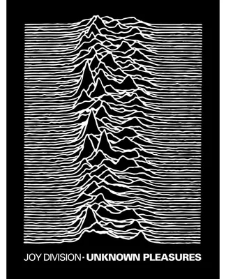 Produktbild von Joy Division - "Unknown Pleasures" Decke, Langfaseriges Vlies RO15649 (Doppelbett) (Bunt)