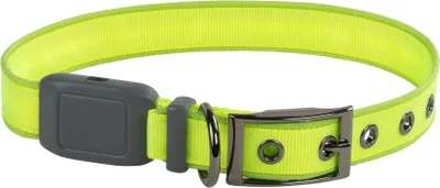 Imagen del producto de Nite Ize Nitedog™ Collar LED recargable, color verde, talla M