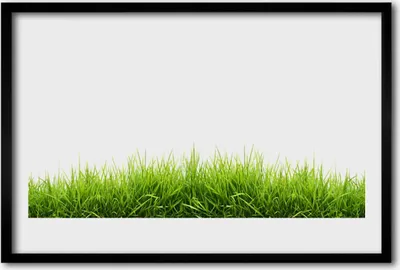 Produktbild von Bild 60x40 MDF-Rahmen Wandkunst Gras Natur Pflanze