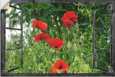Produktbild von ARTland Wandbild, selbstklebend Fensterblick - Klatschmohn Größe: 120x80 cm