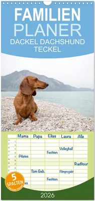 Produktbild von Familienplaner 2026 - DACKEL DACHSHUND TECKEL 2026 mit 5 Spalten (Wandkalender, 21 x 45 cm) CALVENDO