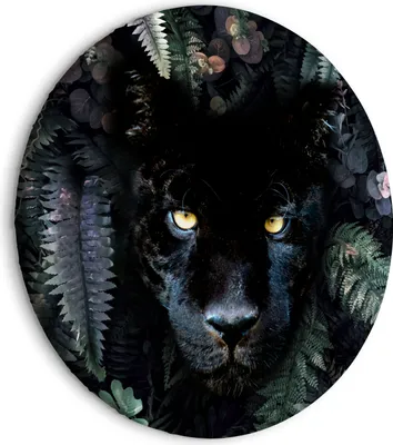 Produktbild von Wandbilder Runde schwarzer Panther Abstrakt Tiere Farn Blumen Porträt 80x80 cm 1 tlg – Leinwandbilder, Bilder Wohnzimmer g-C-10014-bc-a